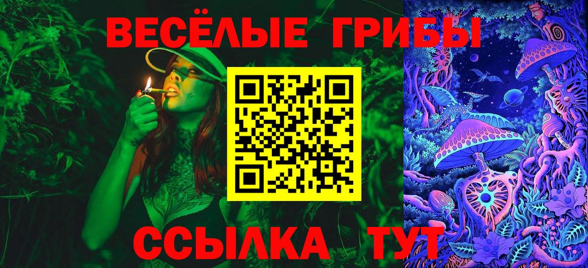 Псилоцибиновые грибы мицелий Уфа