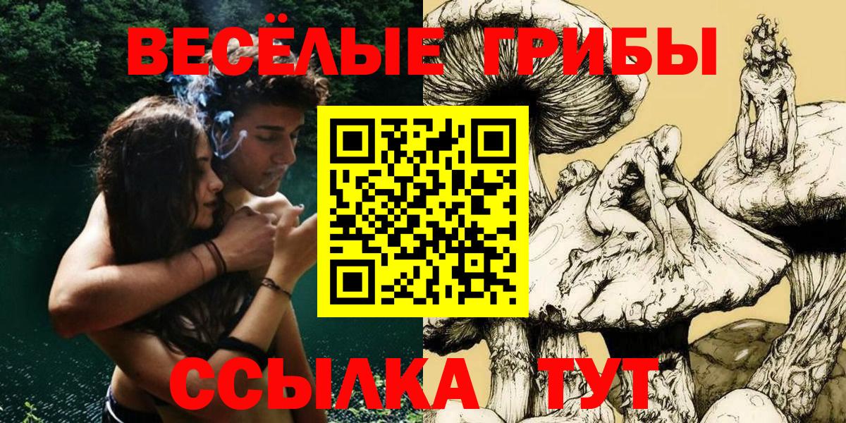 купить  сайты  Псилоцибиновые грибы мухоморы  Вход с VPN  Уфа 